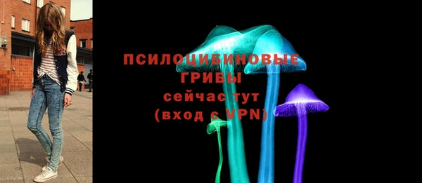 ECSTASY Алексин