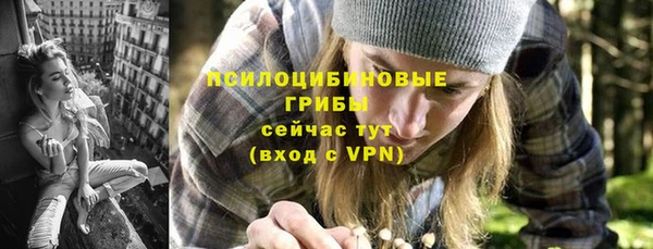 прущая мука Абаза