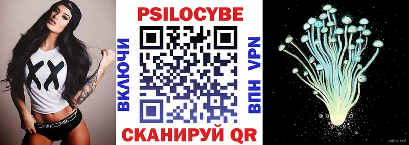 купить наркотик Плавск Псилоцибиновые грибы прущие грибы